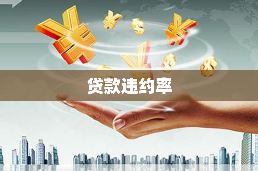 德宏贷款违约率