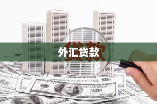 德宏外汇贷款