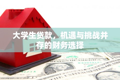 德宏大学生贷款，机遇与挑战并存的财务选择