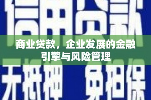 德宏商业贷款，企业发展的金融引擎与风险管理