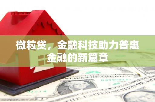 德宏微粒贷，金融科技助力普惠金融的新篇章