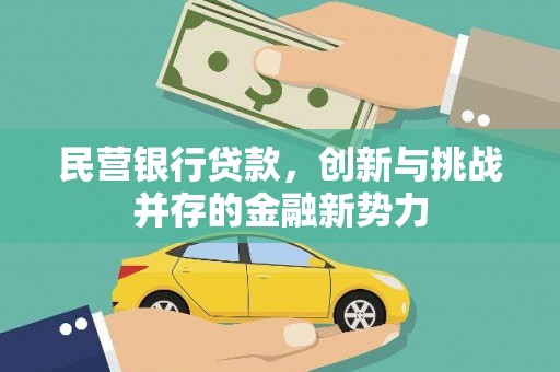 德宏民营银行贷款，创新与挑战并存的金融新势力