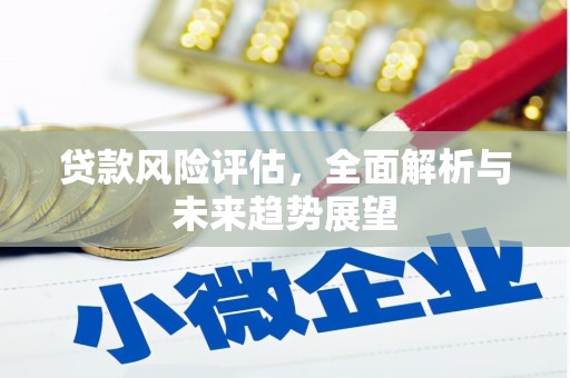 德宏贷款风险评估，全面解析与未来趋势展望