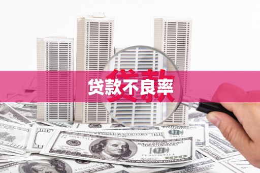 德宏贷款不良率