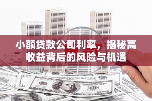 德宏小额贷款公司利率，揭秘高收益背后的风险与机遇