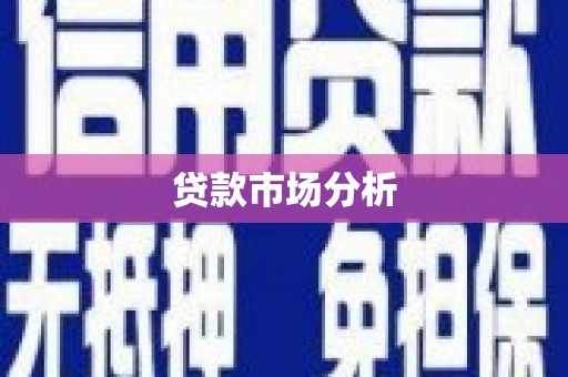 德宏贷款市场分析