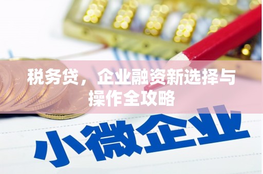 德宏税务贷，企业融资新选择与操作全攻略