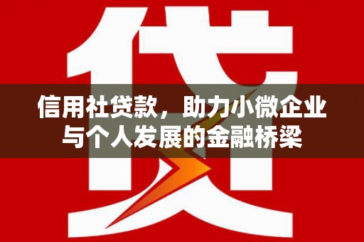 德宏信用社贷款，助力小微企业与个人发展的金融桥梁