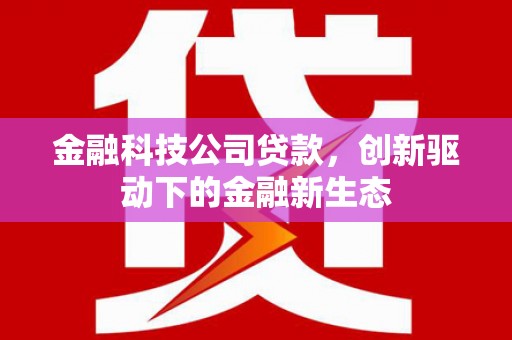 德宏金融科技公司贷款，创新驱动下的金融新生态