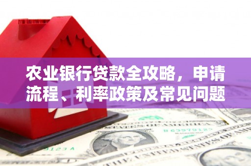 德宏农业银行贷款全攻略，申请流程、利率政策及常见问题解析