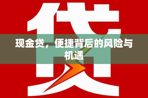 德宏现金贷，便捷背后的风险与机遇