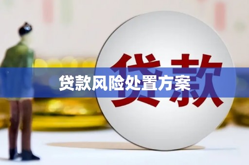 德宏贷款风险处置方案