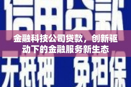 德宏金融科技公司贷款，创新驱动下的金融服务新生态