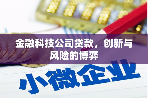 德宏金融科技公司贷款，创新与风险的博弈