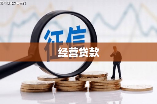 德宏经营贷款