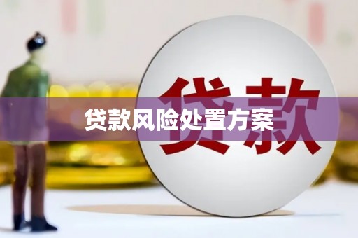 德宏贷款风险处置方案