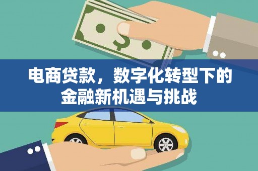 德宏电商贷款，数字化转型下的金融新机遇与挑战