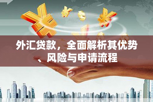 德宏外汇贷款，全面解析其优势、风险与申请流程