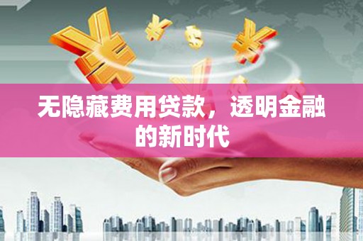 德宏无隐藏费用贷款，透明金融的新时代