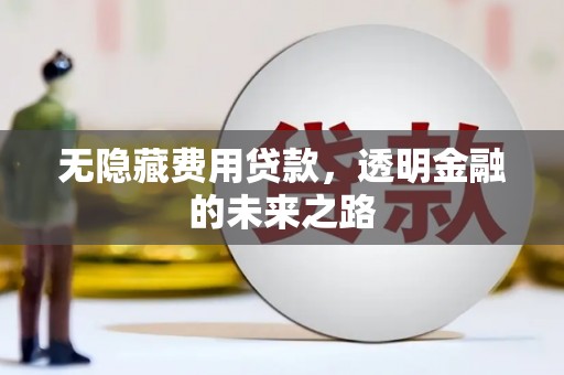 德宏无隐藏费用贷款，透明金融的未来之路