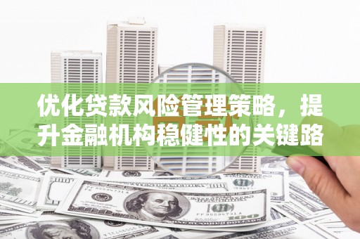 德宏优化贷款风险管理策略，提升金融机构稳健性的关键路径