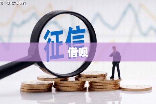 德宏借呗