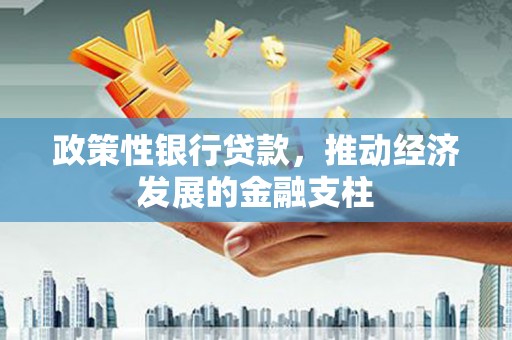 德宏政策性银行贷款，推动经济发展的金融支柱
