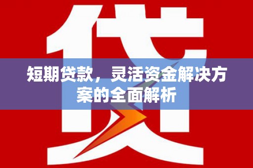 德宏短期贷款，灵活资金解决方案的全面解析