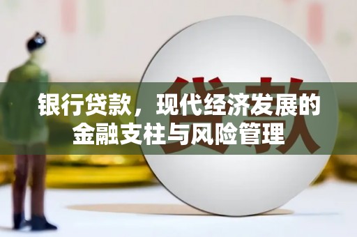 德宏银行贷款，现代经济发展的金融支柱与风险管理