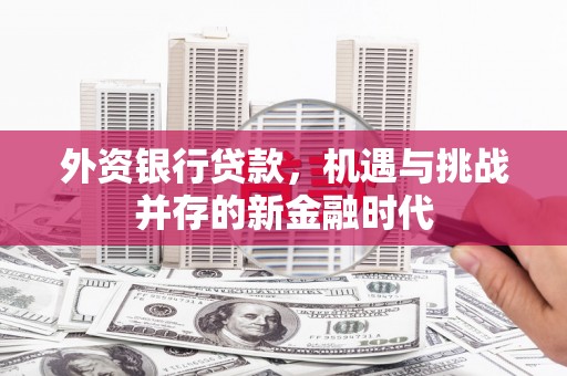 德宏外资银行贷款，机遇与挑战并存的新金融时代