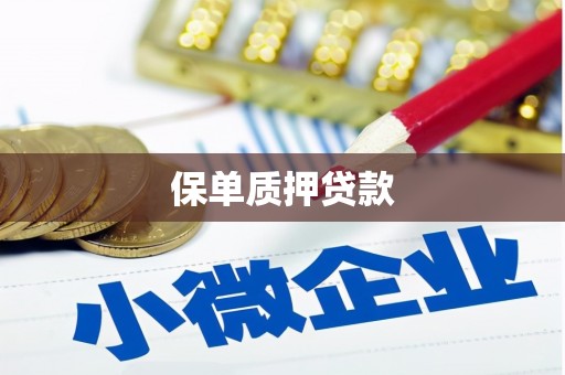 德宏保单质押贷款