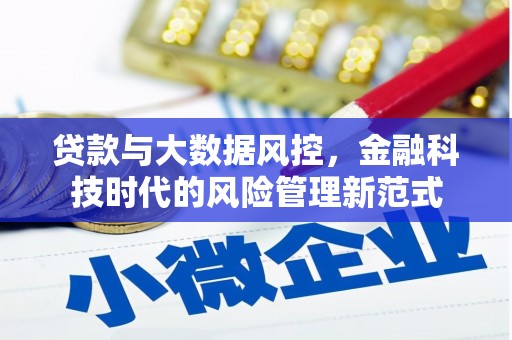 德宏贷款与大数据风控，金融科技时代的风险管理新范式