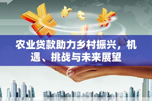 德宏农业贷款助力乡村振兴，机遇、挑战与未来展望