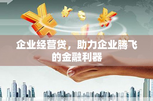 德宏企业经营贷，助力企业腾飞的金融利器