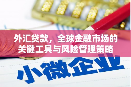 德宏外汇贷款，全球金融市场的关键工具与风险管理策略