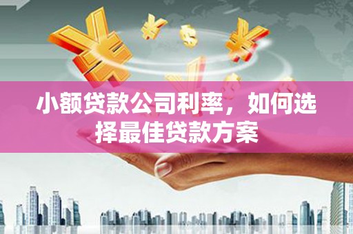 德宏小额贷款公司利率，如何选择最佳贷款方案