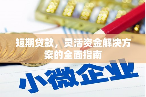 德宏短期贷款，灵活资金解决方案的全面指南