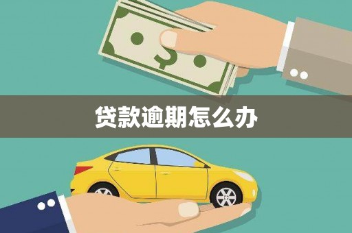 德宏贷款逾期怎么办