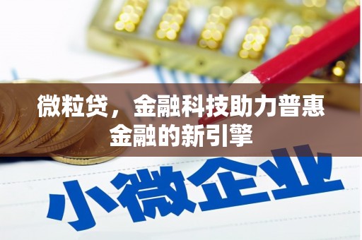 德宏微粒贷，金融科技助力普惠金融的新引擎