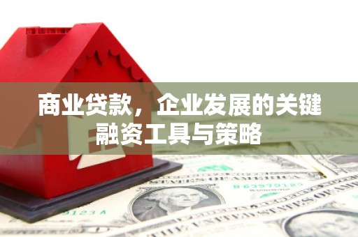 德宏商业贷款，企业发展的关键融资工具与策略