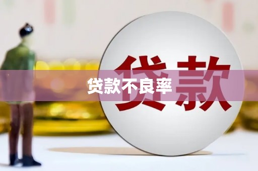 德宏贷款不良率