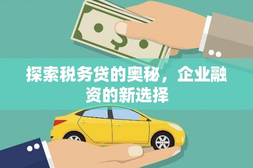 德宏探索税务贷的奥秘，企业融资的新选择