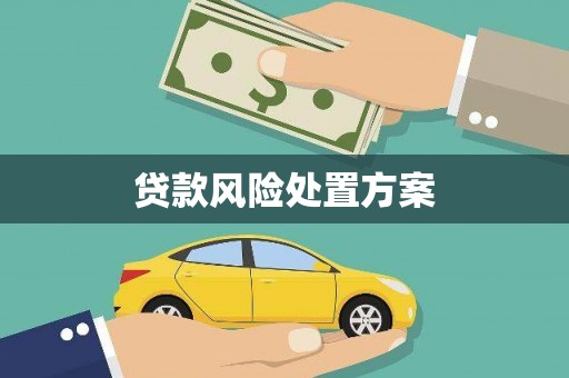 德宏贷款风险处置方案