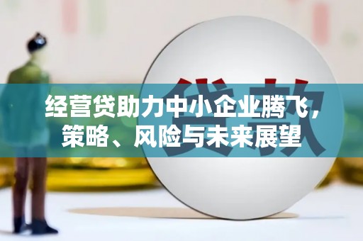 德宏经营贷助力中小企业腾飞，策略、风险与未来展望