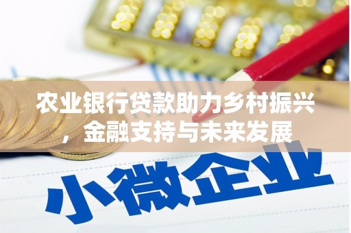 德宏农业银行贷款助力乡村振兴，金融支持与未来发展