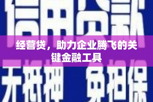 德宏经营贷，助力企业腾飞的关键金融工具