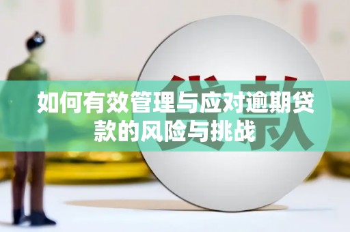 德宏如何有效管理与应对逾期贷款的风险与挑战