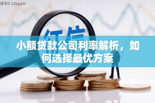 德宏小额贷款公司利率解析，如何选择最优方案