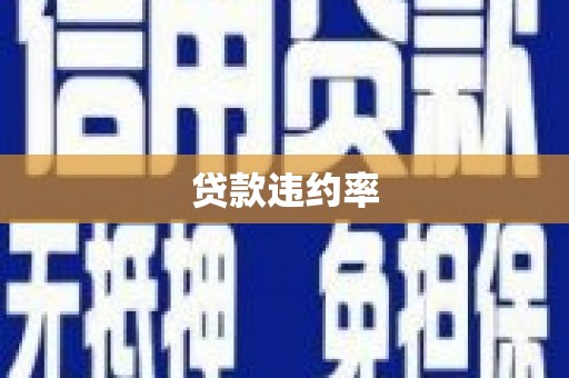 德宏贷款违约率