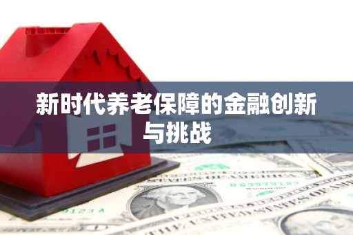 德宏新时代养老保障的金融创新与挑战